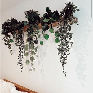 Meet your Posher, Ginger